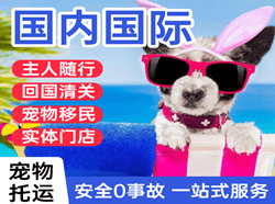 正定航空托运国际宠物托运 【国
